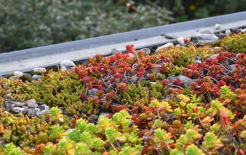 the cost of Tyning green roof installation