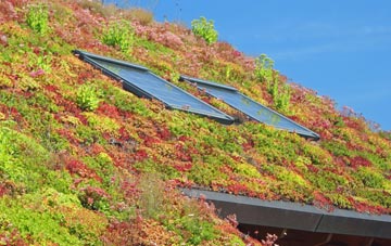 Tyning living roof systems