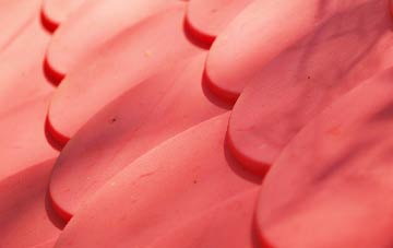 Tyning plastic roof costs