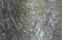 Tyning fibreglass roof work