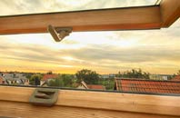 rated Tyning roof window companies